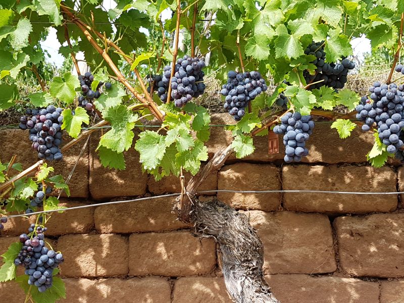 Göppingen und seine Partnerstädte