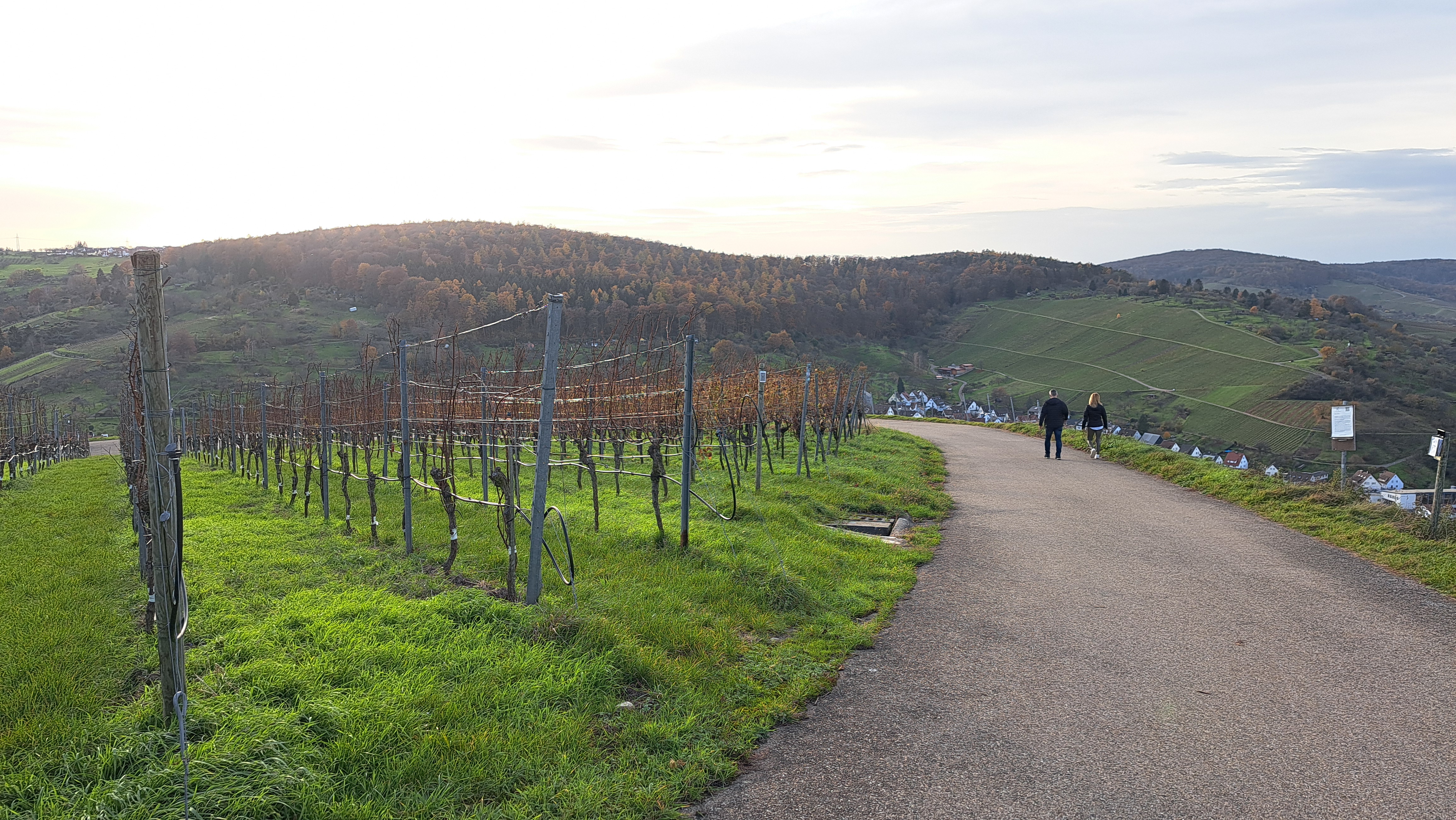 Weinwanderung am Skulpturenpfad